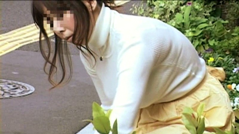 サンプル画像 4