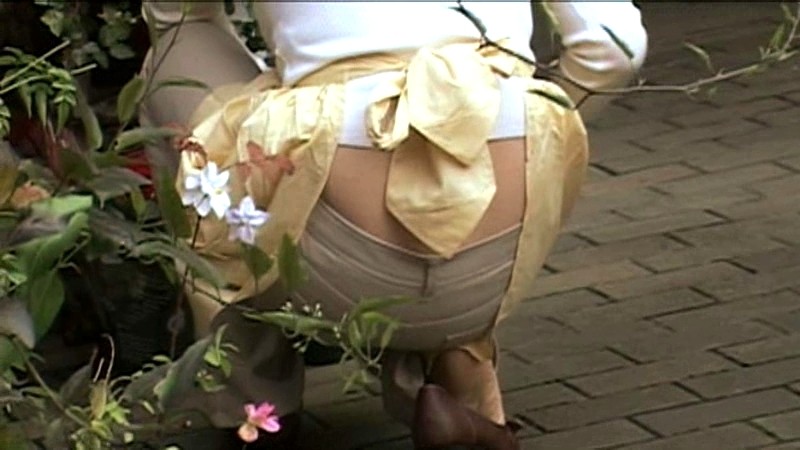 サンプル画像 5