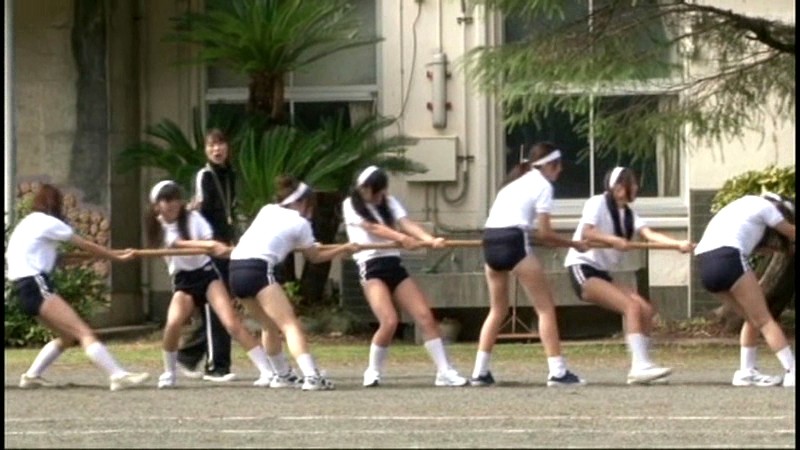 サンプル画像 9