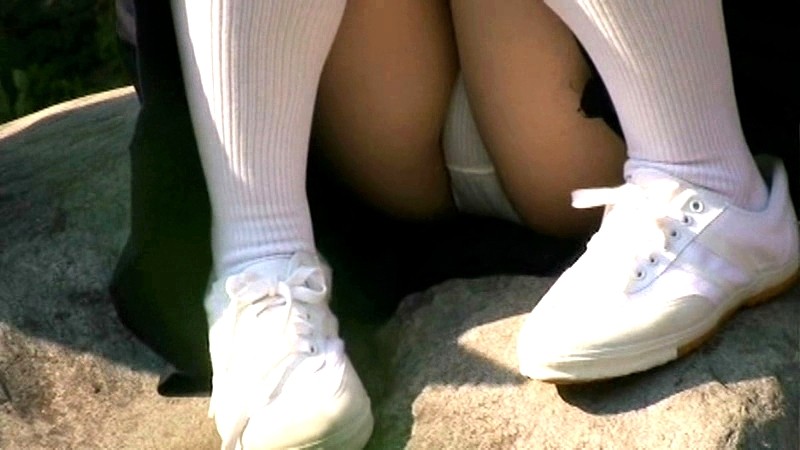 サンプル画像 8