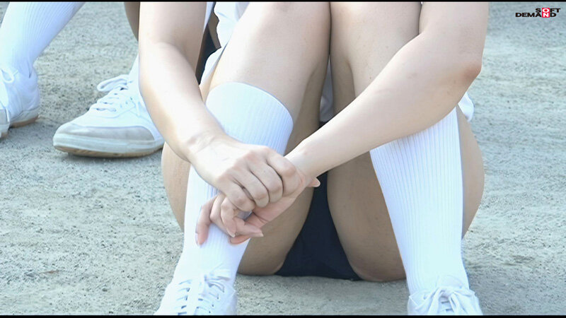 サンプル画像 12