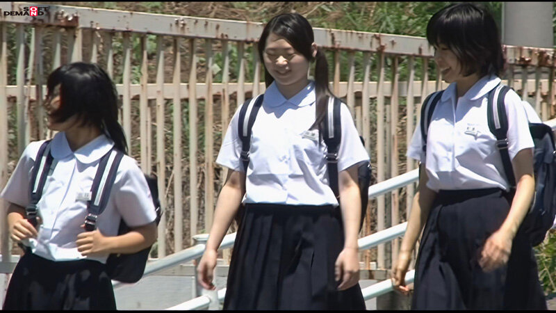 サンプル画像 3