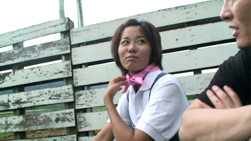 サンプル画像 2