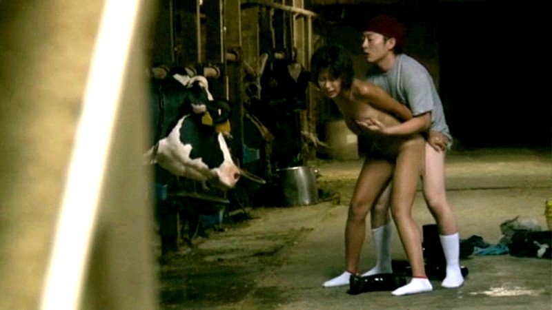 サンプル画像 11