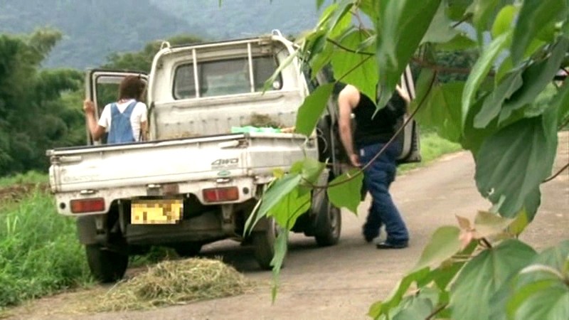 サンプル画像 13