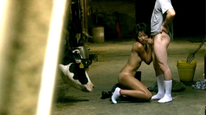 サンプル画像 9