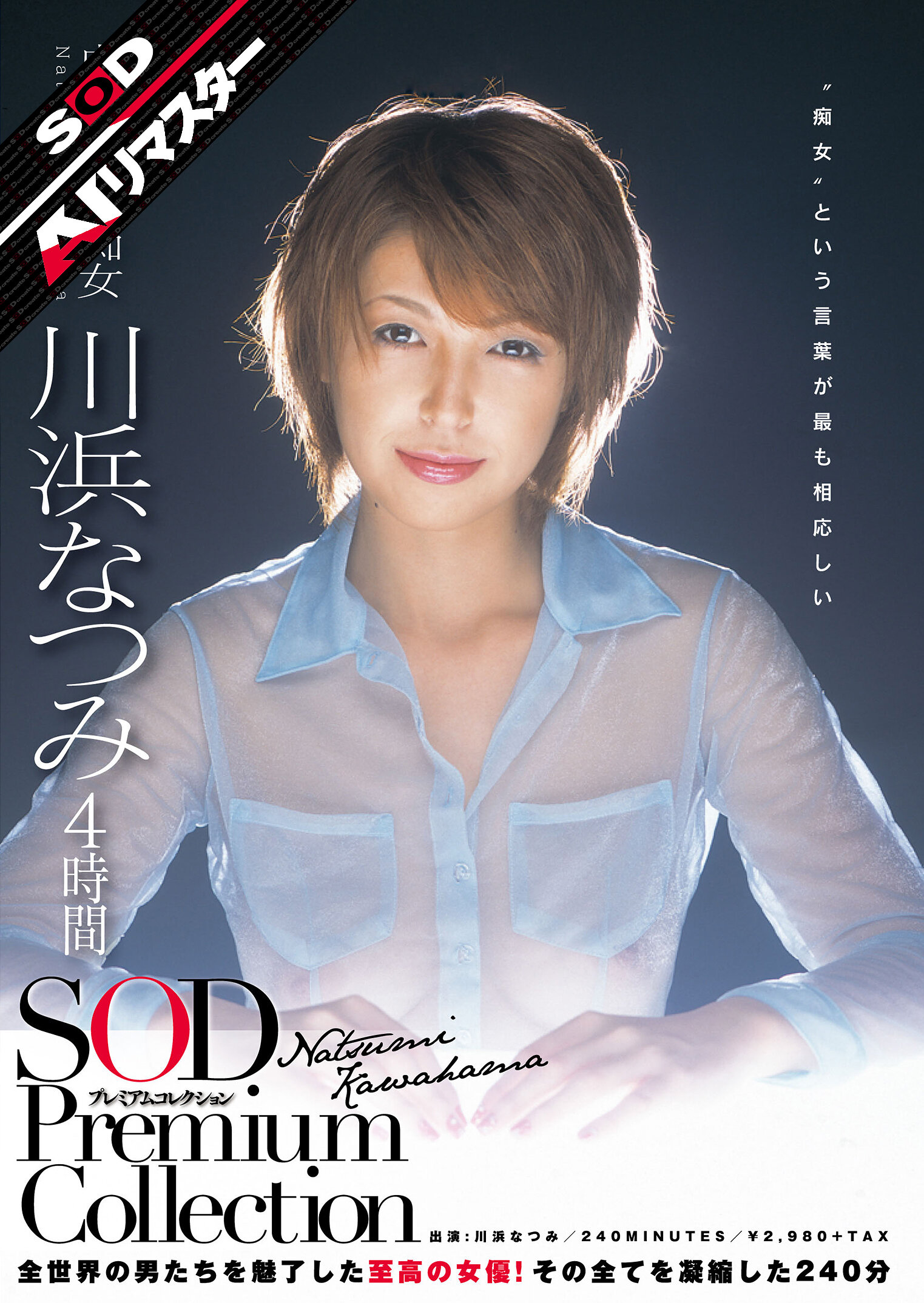 サンプルプレビュー