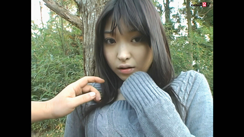 サンプル画像 19