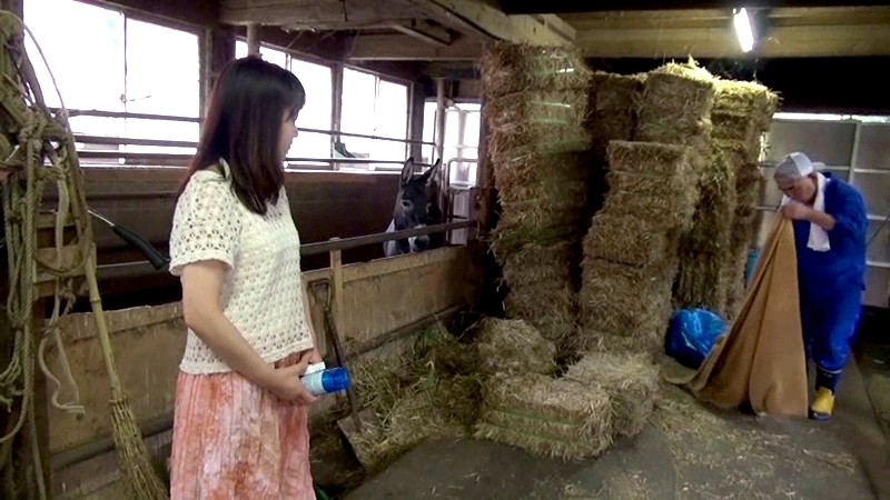 サンプル画像 6