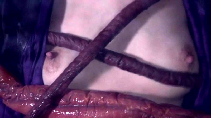 サンプル画像 10