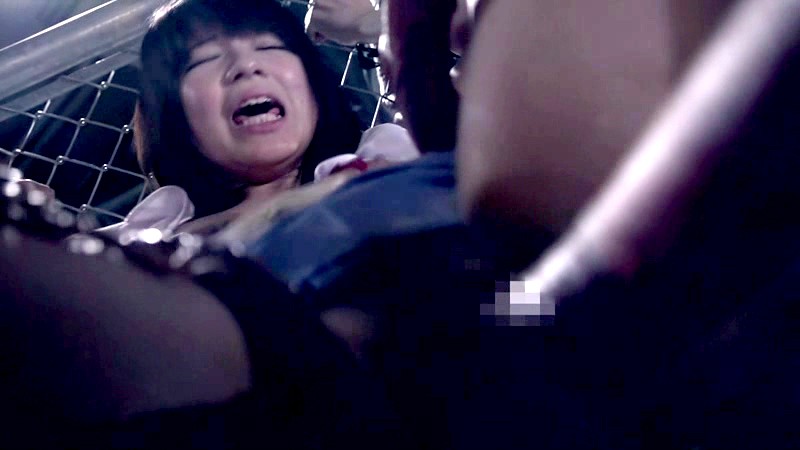 サンプル画像 7