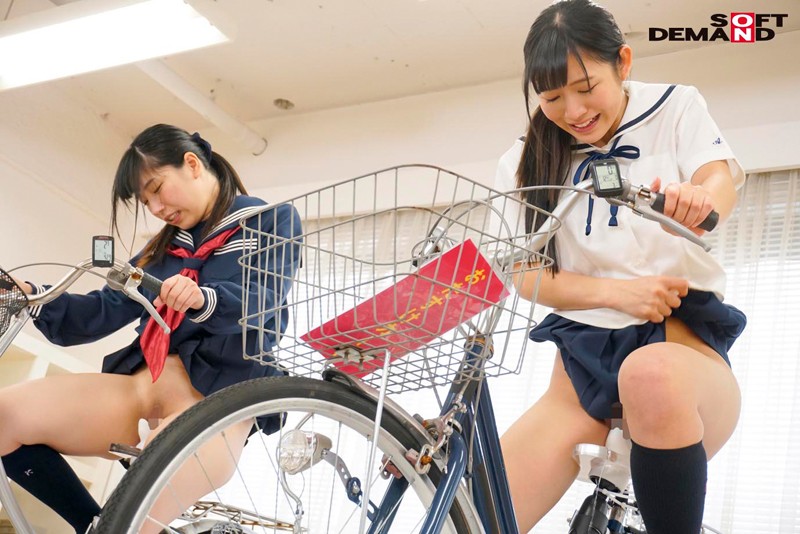 サンプル画像 3