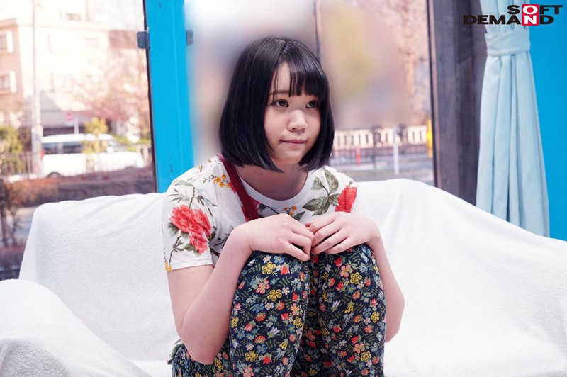 サンプル画像 13