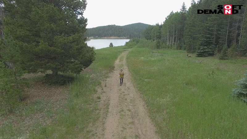 サンプル画像 12