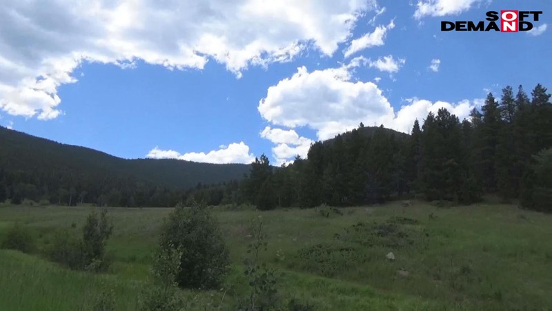 サンプル画像 18