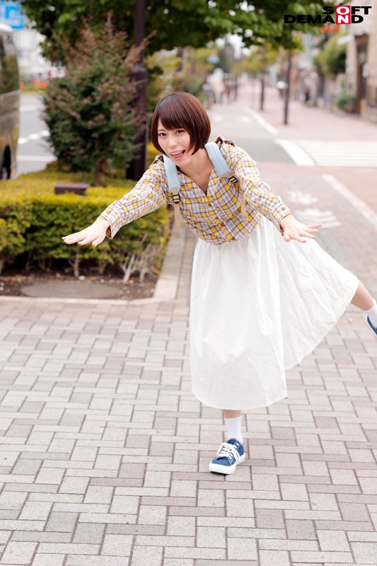 サンプル画像 8