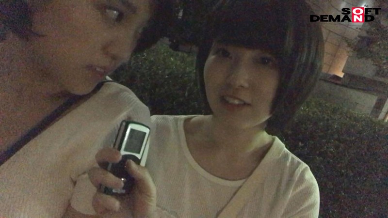 サンプル画像 11