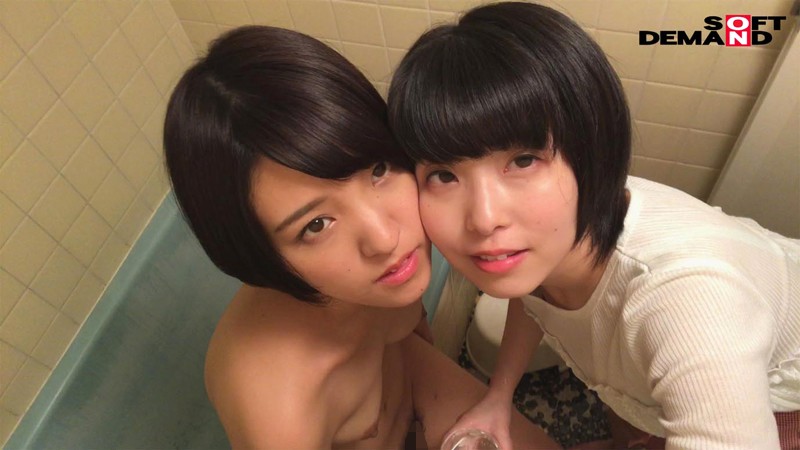 サンプル画像 12