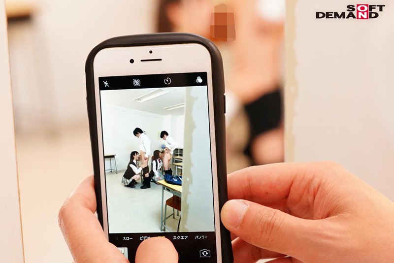 サンプル画像 5