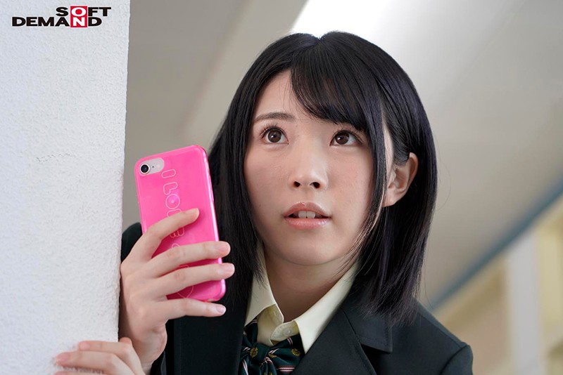 サンプル画像 5