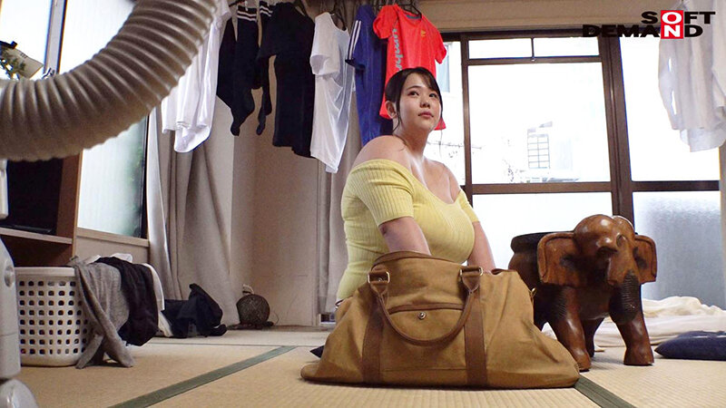 サンプル画像 14