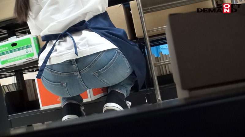 サンプル画像 5