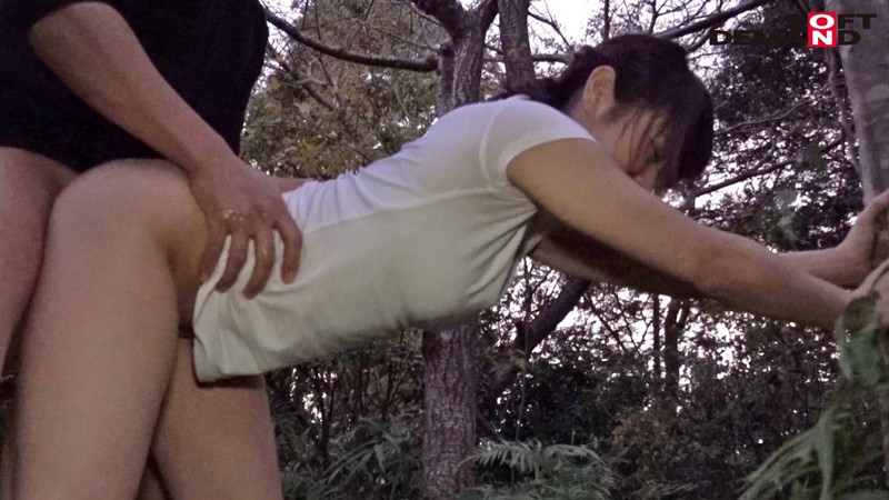 サンプル画像 16