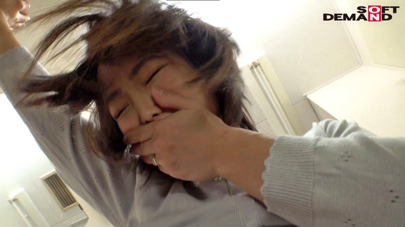 サンプル画像 5