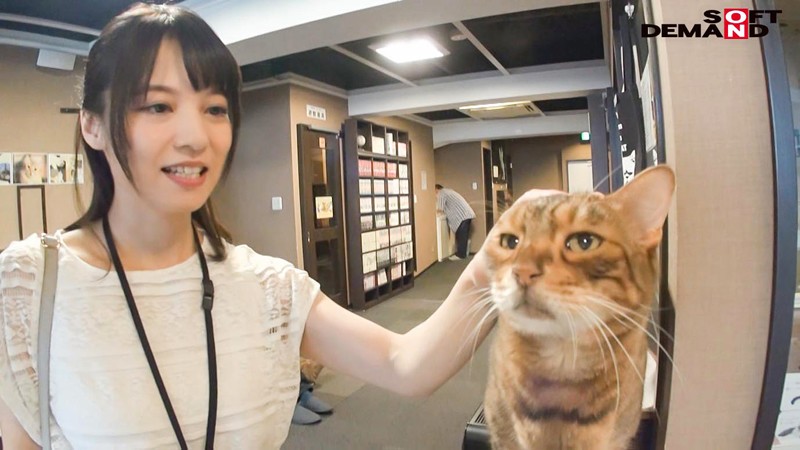 サンプル画像 16