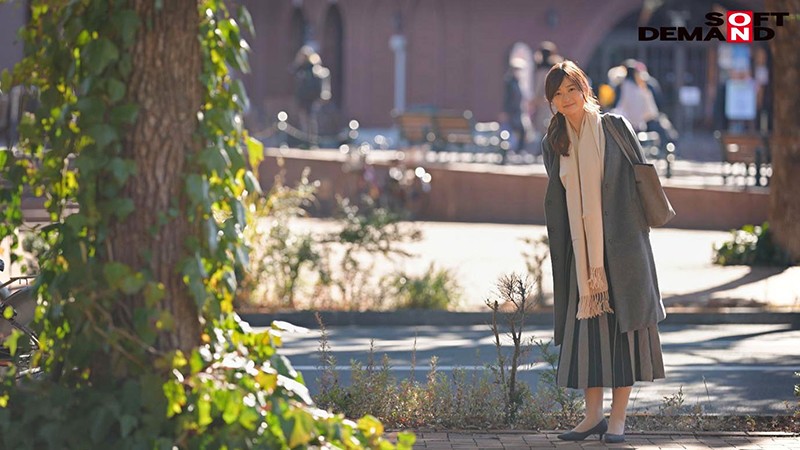 サンプル画像 17