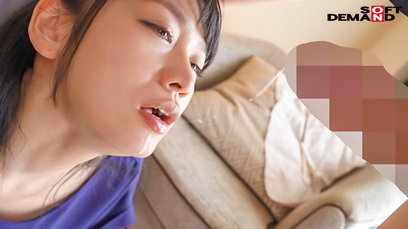 サンプル画像 8