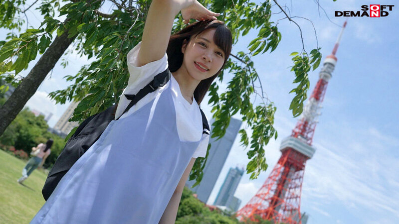 サンプル画像 5