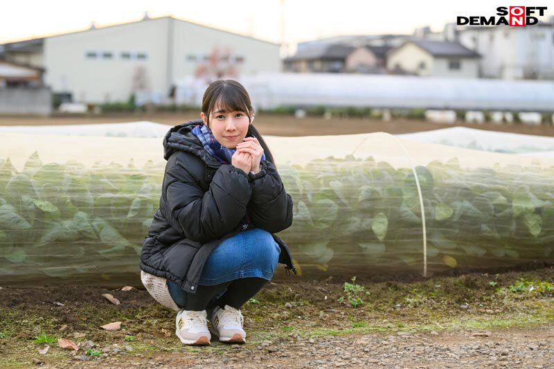 サンプル画像 3