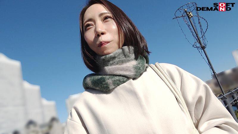 サンプル画像 17