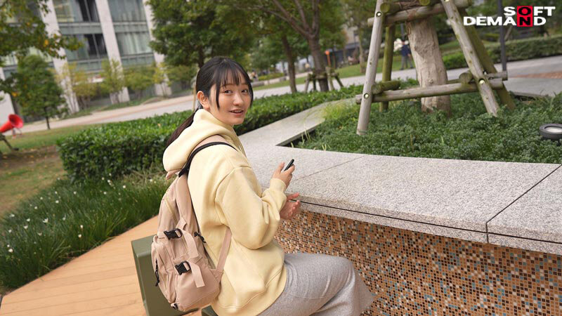 サンプル画像 5