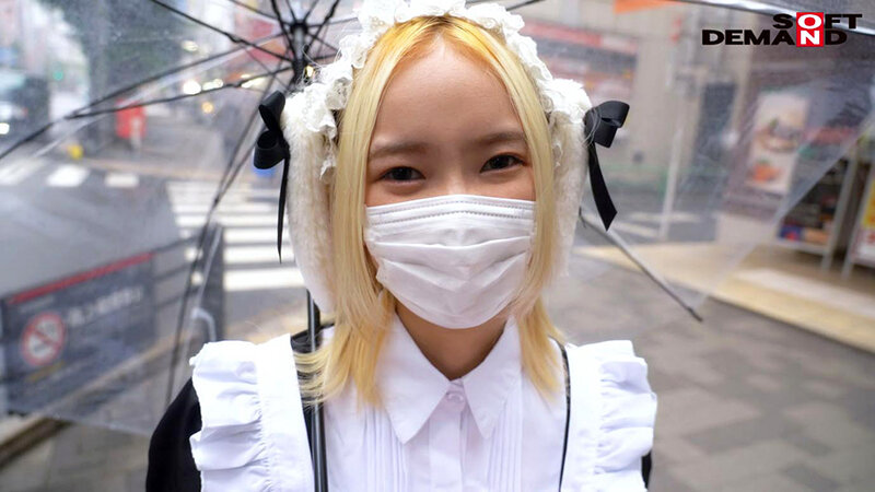 サンプル画像 4