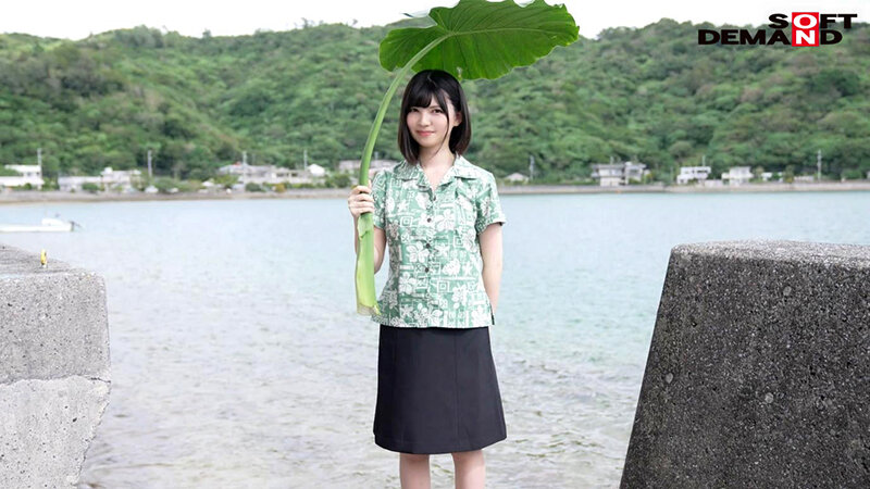 サンプル画像 5