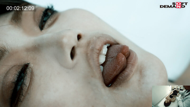 サンプル画像 5