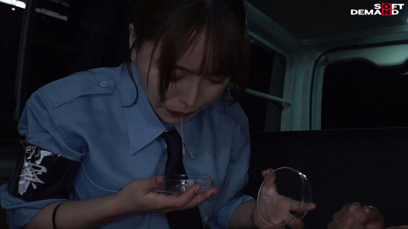 サンプル画像 11