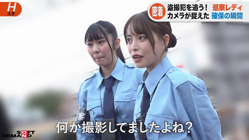 サンプル画像 5