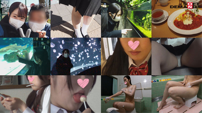 サンプル画像 12