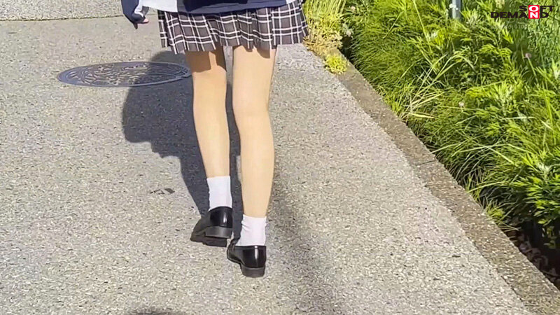 サンプル画像 16