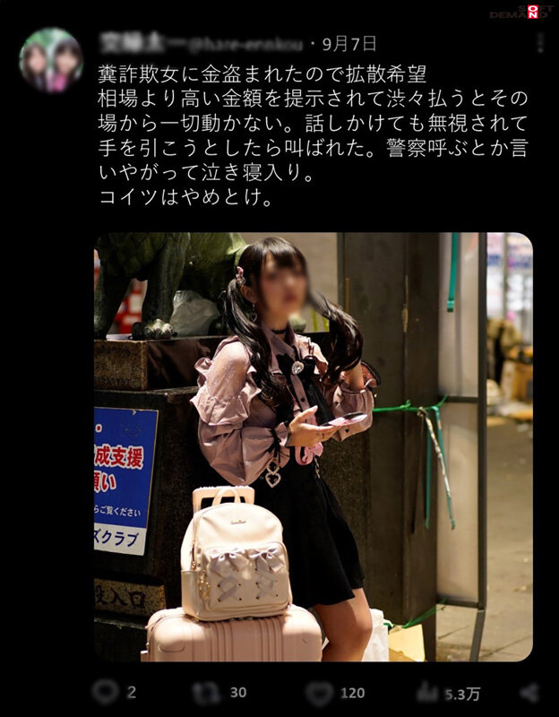 サンプル画像 3