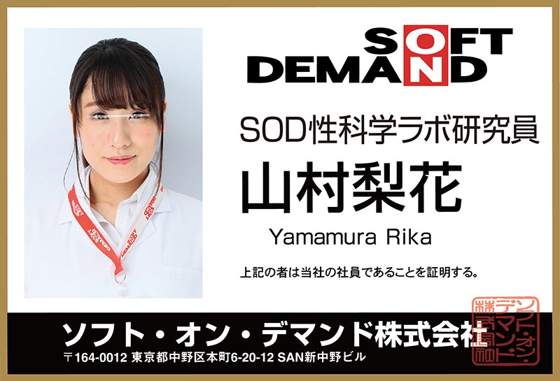 サンプル画像 3