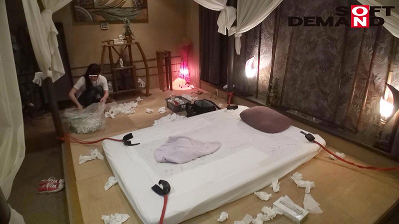 サンプル画像 3