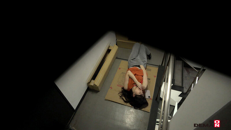 サンプル画像 6