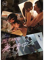 パッケージ画像