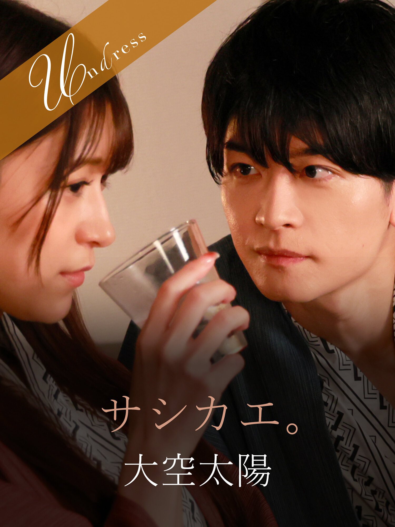 パッケージ画像