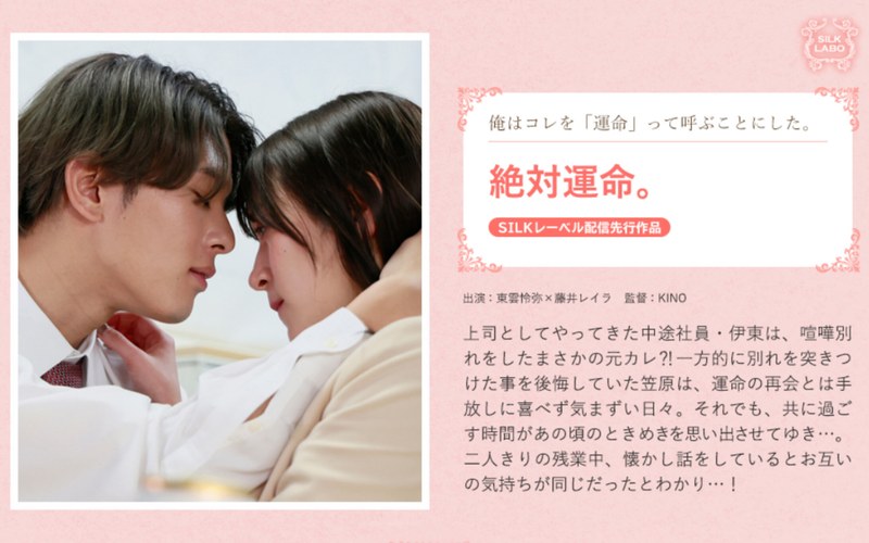 サンプルプレビュー