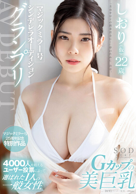 サンプル画像 3